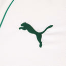 Palmeiras 2026 - Segundo Uniforme